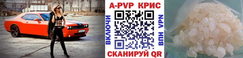 APVP СК  закладка  Ермолино 
