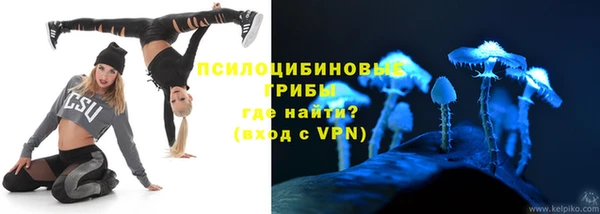 apvp Белокуриха