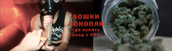 apvp Белокуриха