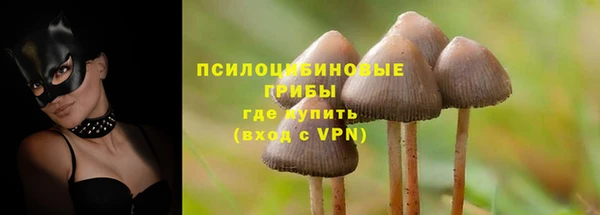 apvp Белокуриха