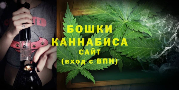 apvp Белокуриха