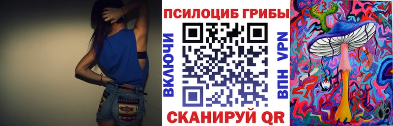 Галлюциногенные грибы Psilocybine cubensis  Ермолино 